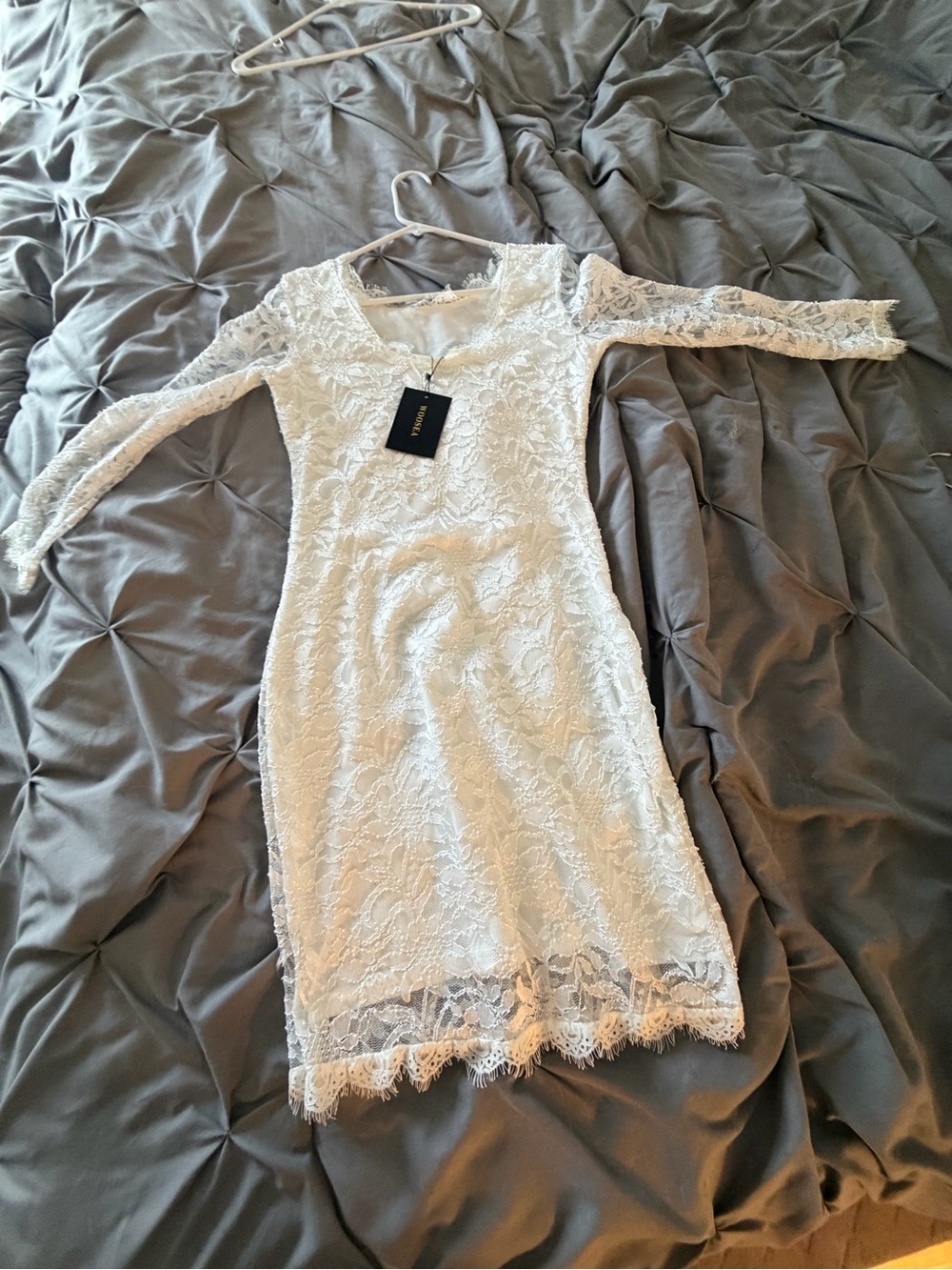 Lace Long-Sleeve Bodycon Dress in Ivory
